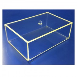 Boite plexi à couvercle posé - LG 300 x lg 200 x ht 90 mm